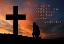 ����һ���ǳ����Ȳ������ϵ�ϲ����