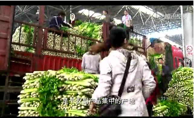 ������֤-�����ǵİ��������粻һ����