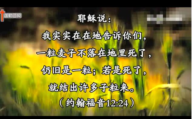 С��ʫ��-��һ�����ӡ�