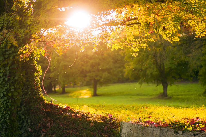 日祷记‖代祷:为自己和他人在言行上的诚实无伪祷告(2017-12-16)